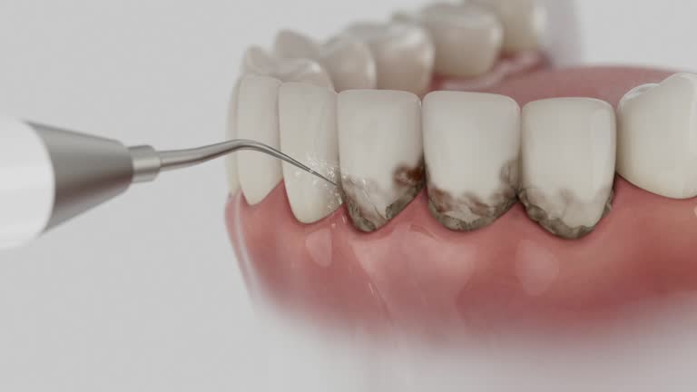 Reliable Dental contractor in Black Mountain, NC by Dentist Open Now